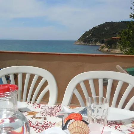 011 Il Leccio * Procchio (Isola d'Elba)